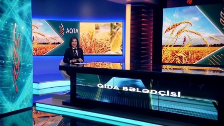 AQTA yeni televiziya layihəsinə start verdi