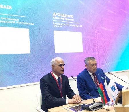 Azərbaycan nümayəndə heyəti 23-cü Sankt-Peterburq Beynəlxalq İqtisadi Forumunda