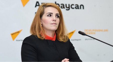 Azərbaycan müxalifətinin etiraz mədəniyyəti