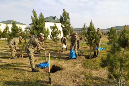 Azərbaycan Ordusunda ağacəkmə aksiyası keçirilir