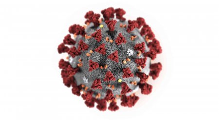 Dünyada koronavirusa yoluxanların sayı 5 milyon 100 mini ötdü