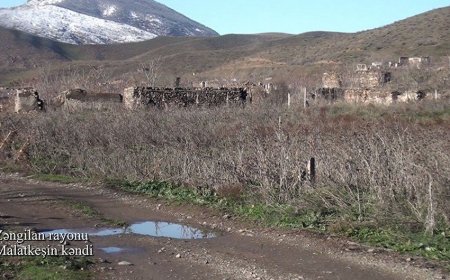Zəngilan rayonunun Malatkeşin kəndindən görüntülər-VIDEO