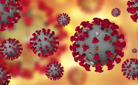 Havada koronavirusu aşkarlayan qurğu yaradıldı