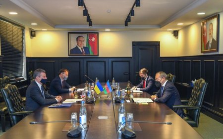 Azərbaycan-Ukrayna İşgüzar Şurasının yaradılması təklif olunur