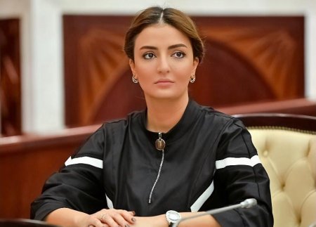 Deputat Könül Nurullayeva “Dayanıqlı İnkişaf Məqsədləri 2030” vebinar silsiləsində iştirak edib-FOTOLAR