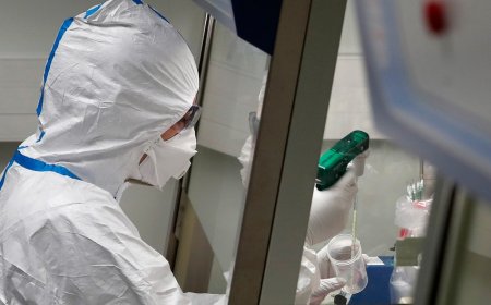 Azərbaycanda koronavirusa 1429 yeni yoluxma faktı qeydə alınıb