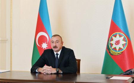 Prezident: "Ermənistan Azərbaycana qarşı ekoloji terror təşkil edib"