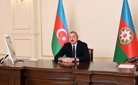 Azərbaycan Prezidenti Dünya İqtisadi Forumunun prezidenti ilə videokonfrans formatında görüşüb