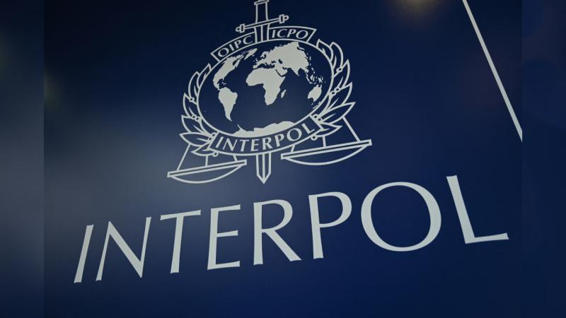 "İnterpol" Afrikada əməliyyat keçirdi, 103 nəfər saxlanıldı