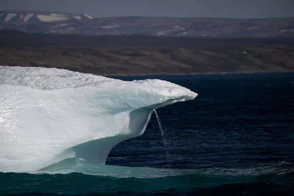 Qrenlandiyada saatda 30 milyon ton buz əriyir