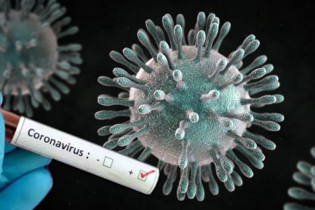 XƏBƏRDARLIQ-Koronavirusa yoluxma iyunun ortalarında pik həddə çatacaq