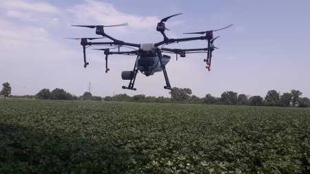 Yeni texnologiya əsasında əkilmiş pambıq sahəsində dronla zərərvericilərə qarşı kimyəvi mübarizə aparılıb