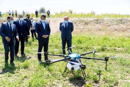 Azərbaycanda ilk dəfə qarğıdalı sahələri dronlar vasitəsilə dərmanlanıb