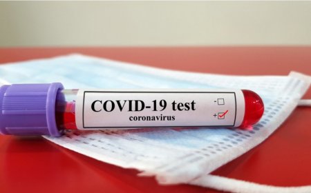 Dünyada koronavirus pandemiyası təhlükəsi artır