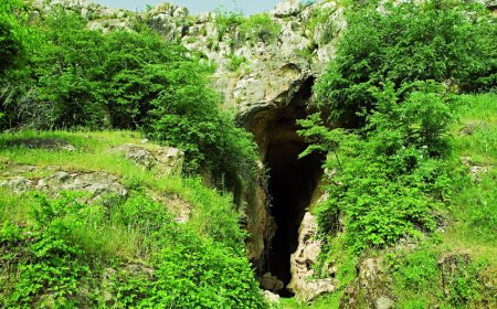 Ermənilər Azıx mağarasında qanunsuz arxeoloji qazıntı işləri aparıblar