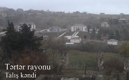 Tərtərin işğaldan azad olunan Talış kəndinin görüntüləri-VİDEO
