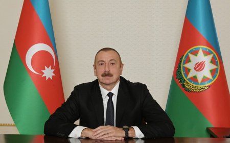 Azərbaycan Prezidenti: "Beynəlxalq ictimaiyyət pandemiyadan xilas olmaq üçün strategiyalar hazırlaya bilər"