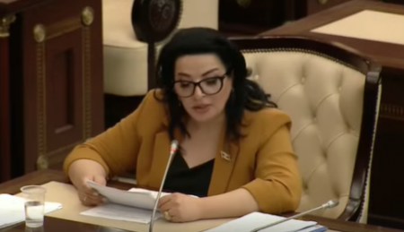 Fatma Yıldırım: "Bütün dünyaya erməni barbarlığını, vəhşiliyini nümayiş etdirməliyik"