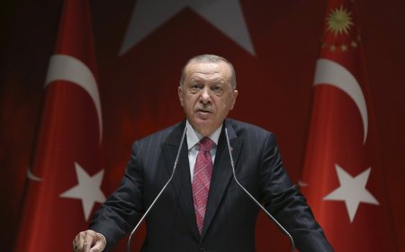 Türkiyə Prezidenti: "Azərbaycan öz haqlı mübarizəsinə kölgə salmadı"