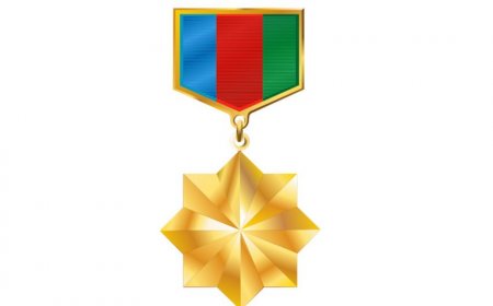 Yeni medalın təsis olunması layihəsi I oxunuşda qəbul edildi