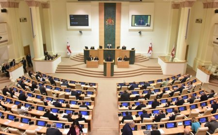 Gürcüstan parlamentində Azərbaycanla dostluq qrupu yaradıldı