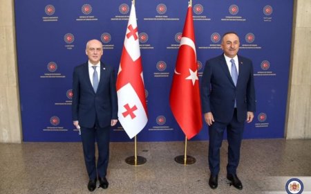 Ankarada Azərbaycan-Gürcüstan-Türkiyə əməkdaşlığının inkişaf perspektivləri müzakirə olunub