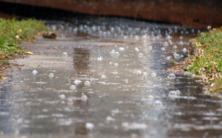 İstirahət günü hava necə olacaq?