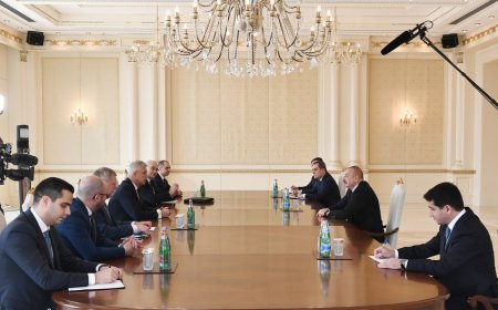 Prezident İlham Əliyev Slovakiyanın xarici və Avropa işləri nazirini qəbul edib