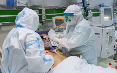 Azərbaycanda koronavirusa 1 333 yeni yoluxma qeydə alınıb, 18 nəfər vəfat edib