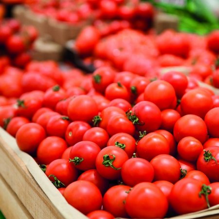 Azərbaycanın daha 8 müəssisəsi Rusiyaya pomidor ixrac edəcək