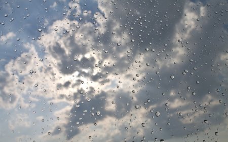 Sabah intensiv yağış yağacaq, güclü külək əsəcək - XƏBƏRDARLIQ