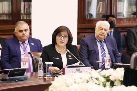 Milli Məclisin Sədri Sahibə Qafarova MDB PA-nın 52-ci plenar iclasında çıxış edib