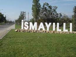 İsmayıllıda vəzifəli şəxs cərimələndi