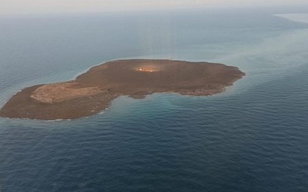 Xəzərdəki hadisə ilə bağlı 4 qurumun mütəxəssislərindən ibarət ekspedisiya qrupu yaradılıb