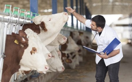 Türkiyənin aqronom və baytar həkimləri Azərbaycanda fəaliyyət göstərəcək