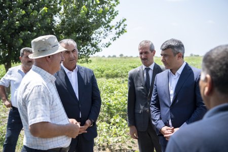 Nazir İnam Kərimov Salyanda açıq sahədə pambıqçı fermerlərlə görüş keçirib