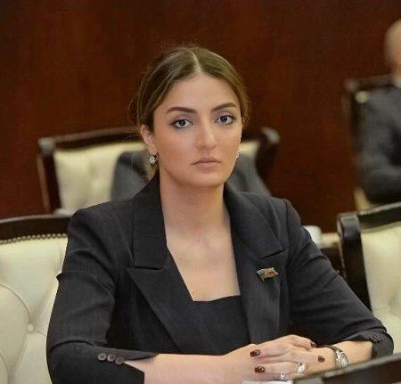 Könül Nurullayeva: “Beynəlxalq təşkilatlar Ermənistanın sərhəd təxribatları ilə bağlı sərt mövqe sərgiləməlidir”