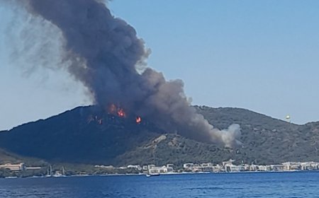 Türkiyədə nəzarət altına alınan yanğın nöqtələrinin sayı 57-yə çatıb