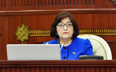 Milli Məclisin 53 deputatı Sahibə Qafarovaya müraciət edib