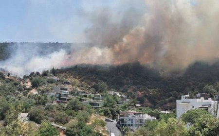 Bodrumda meşə yanğını nəzarət altına alınıb