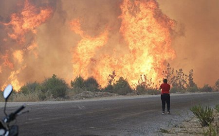 PKK-ya bağlı olan terror təşkilatı: “Türkiyədə yanğınları biz törətmişik”