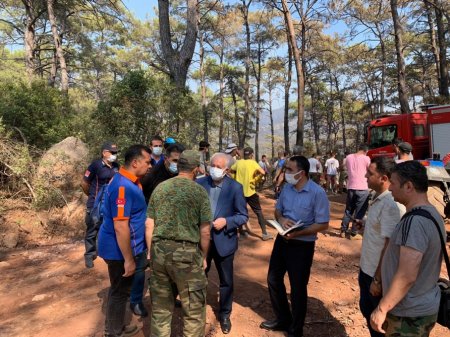 Azərbaycanın fövqəladə hallar nazirinin müavini Türkiyədə yanğın bölgəsində olub