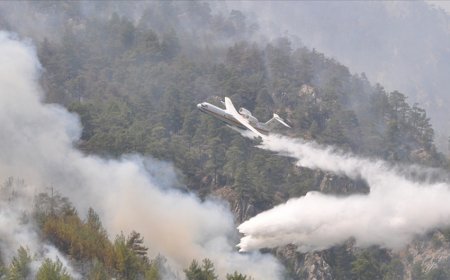 Azərbaycanlı yanğınsöndürənlər Muğlada 5 yerdə yanğını söndürməyə çalışır