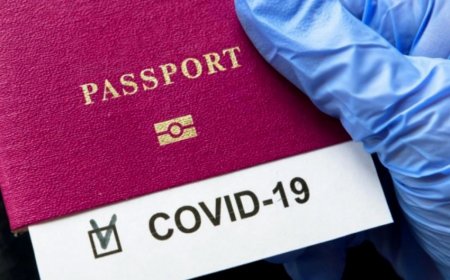 Saxta COVID-19 pasportu satanlar saxlanılıb