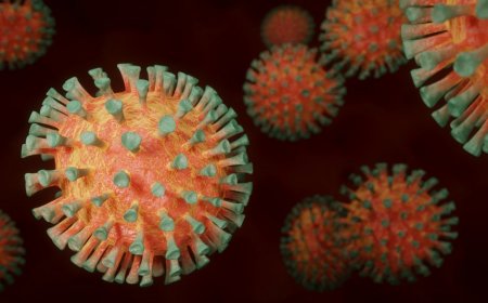 Koronavirus ilk dəfə 21 min il bundan əvvəl yayılıb