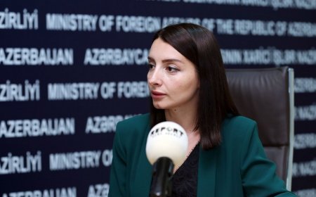 Leyla Abdullayeva: "Beynəlxalq hüquq çərçivəsində ədaləti təmin edəcəyik"