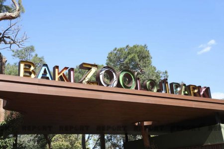 Bakı Zooloji Parkı ziyarətçilər üçün açılıb-QİYMƏTLƏR ENDİRİLDİ