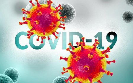 Amerika kəşfiyyatı: "Yeni koronavirus bioloji silah kimi yaradılıb"