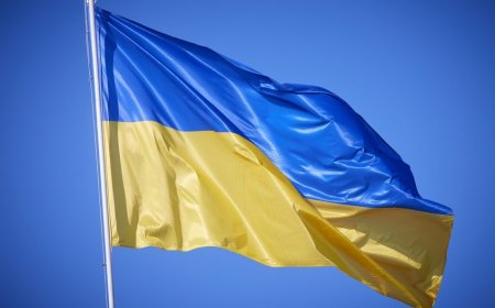 Ukrayna öz ərazi bütövlüyünü bərpa etməkdə israrlıdır