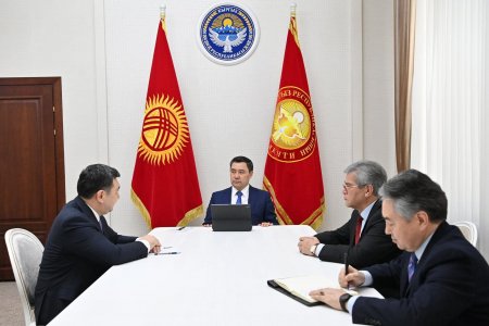 Beynəlxalq Türk Akademiyasının prezidenti Qırğızıstan prezidenti ilə görüşüb